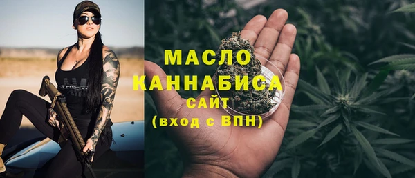 молекула духа Зеленодольск