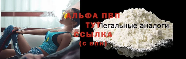 молекула духа Зеленодольск