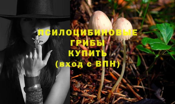 мдпв Зерноград