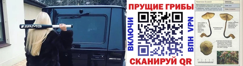 Псилоцибиновые грибы мухоморы  кракен онион  Северобайкальск 