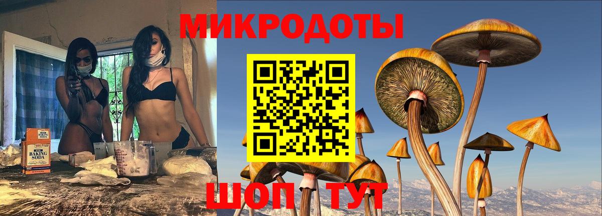 Северобайкальск  Псилоцибиновые грибы ЛСД  Вход с VPN 