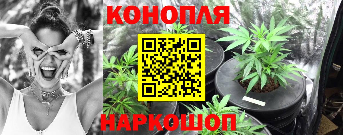 Северобайкальск  Шишки марихуана SATIVA & INDICA  Вход с VPN  МАРИХУАНА Bruce Banner  МАРИХУАНА сатива 